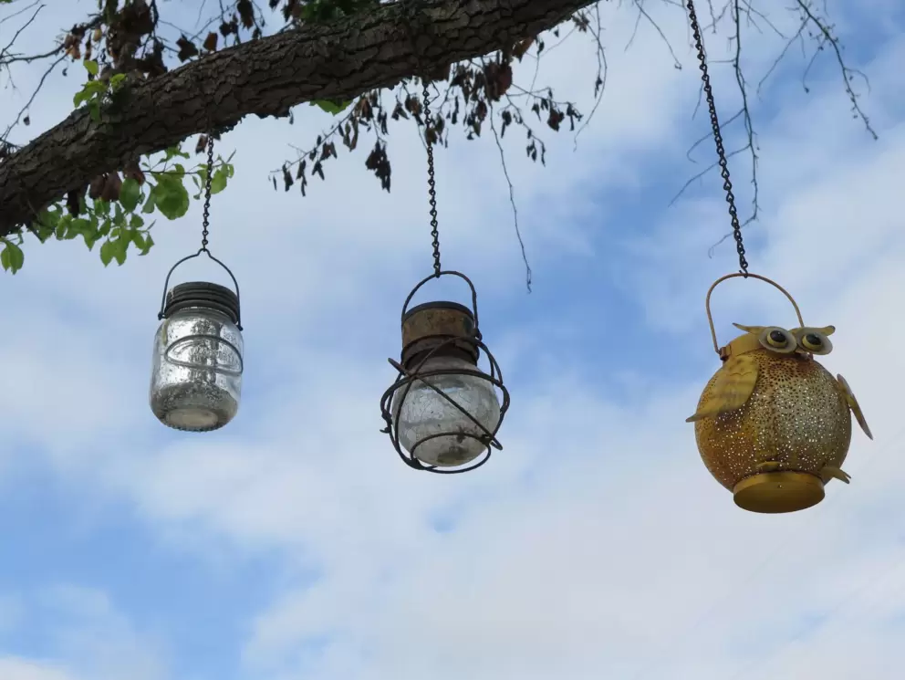 Owl lantern hanging from a tree. 