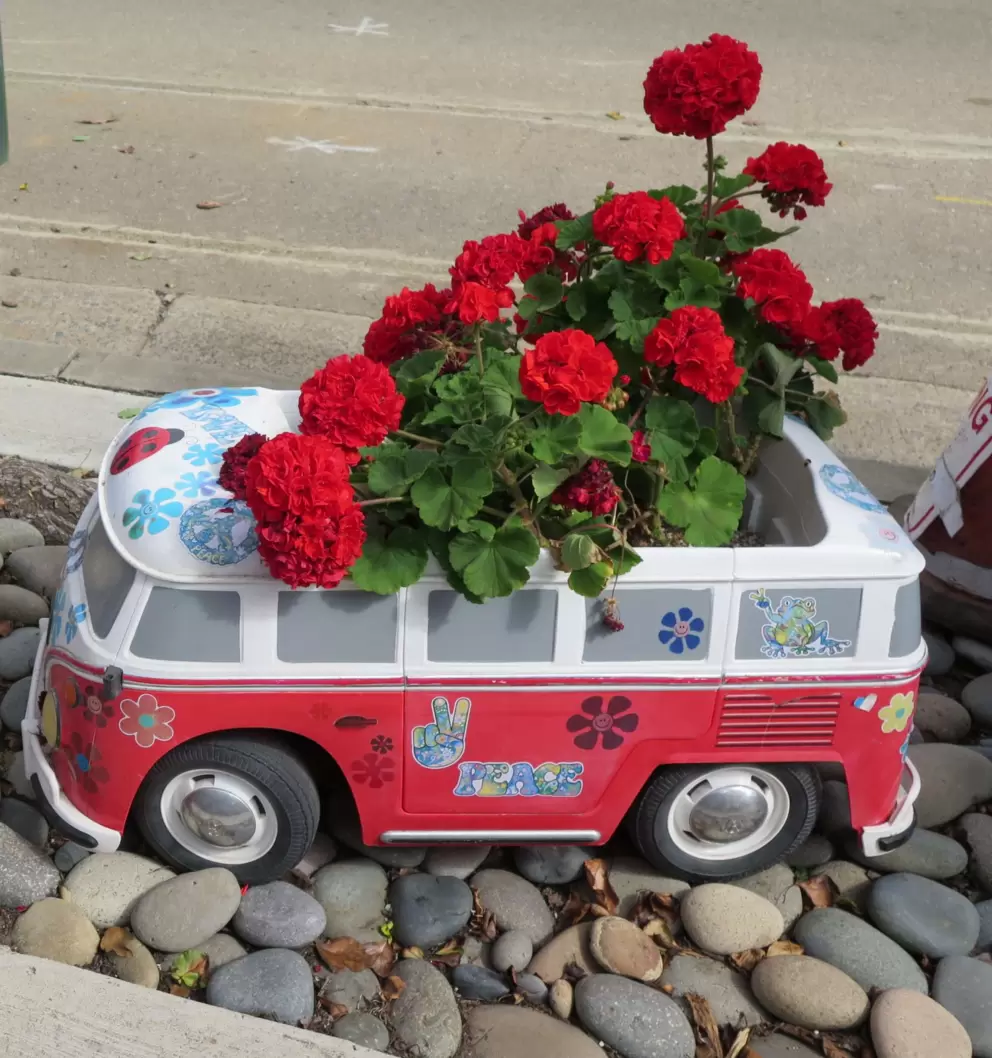 Volkswagen van planter at 224 El Portal Street. Cute!