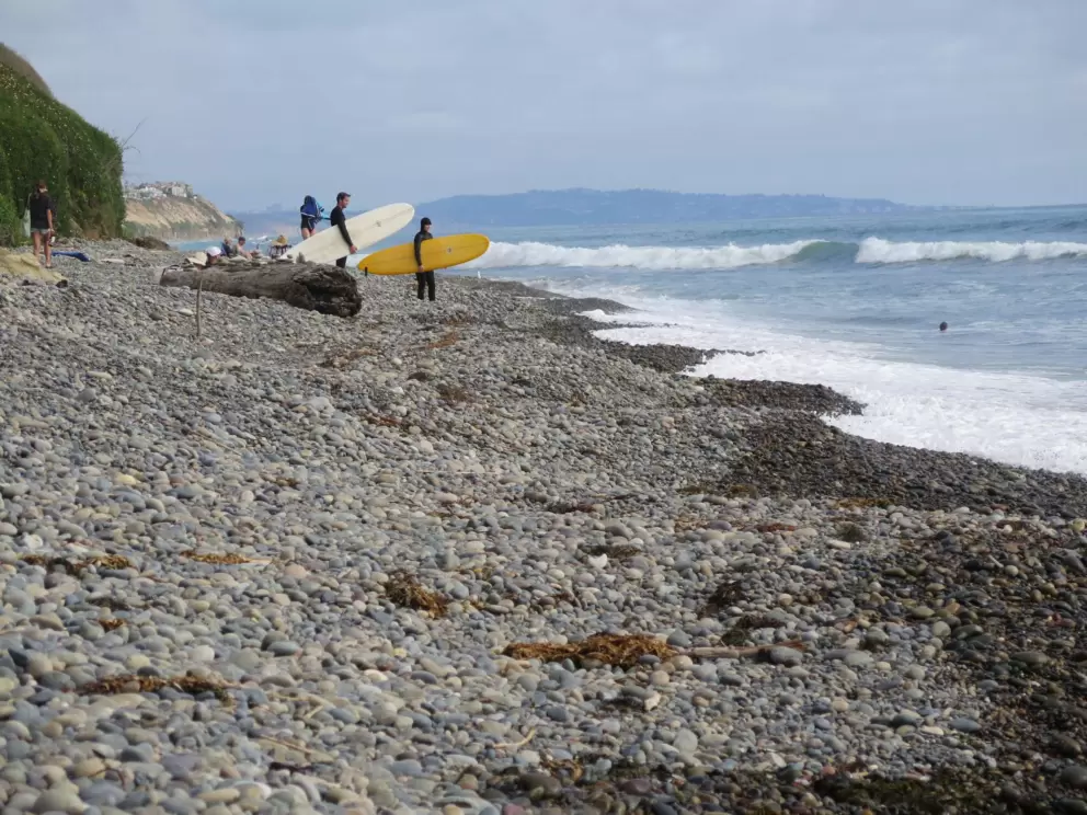 Surfers looking out at the water. 