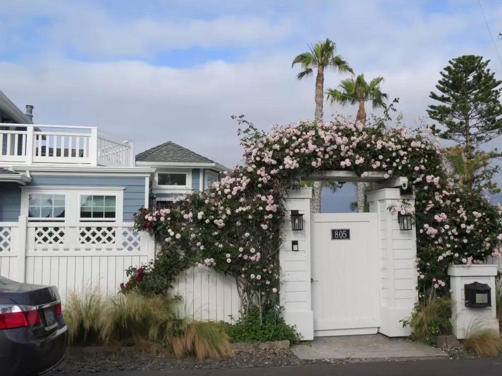 Beautiful blue house with rose trellis. 