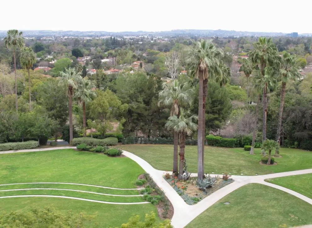 Tree tops of San Marino and Pasadena, as seen from the Langham Hotel.
