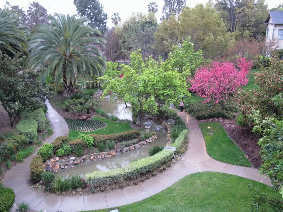 Japanese Garden at the Langham Hotel. 