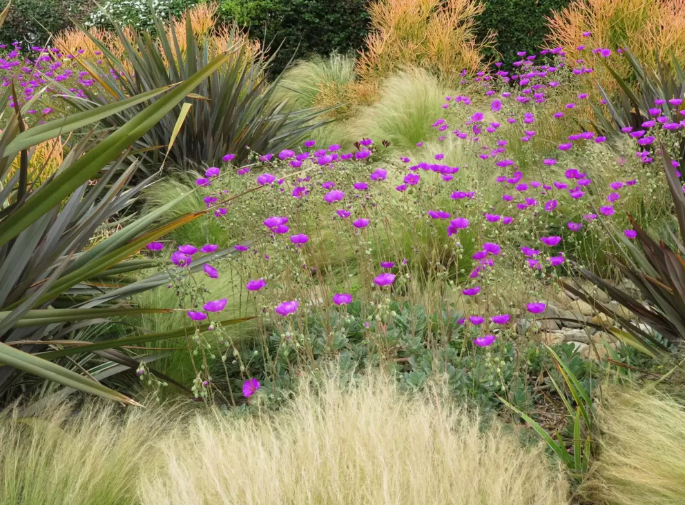 Landscaping outside an apartment complex. 