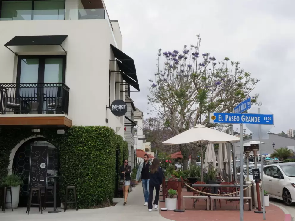 Cafe with ivy, on a corner. 