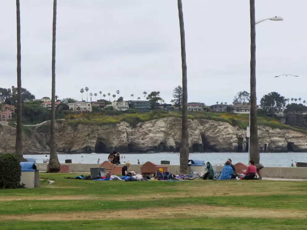 Kayakers with their stuff spread out on the lawn. 