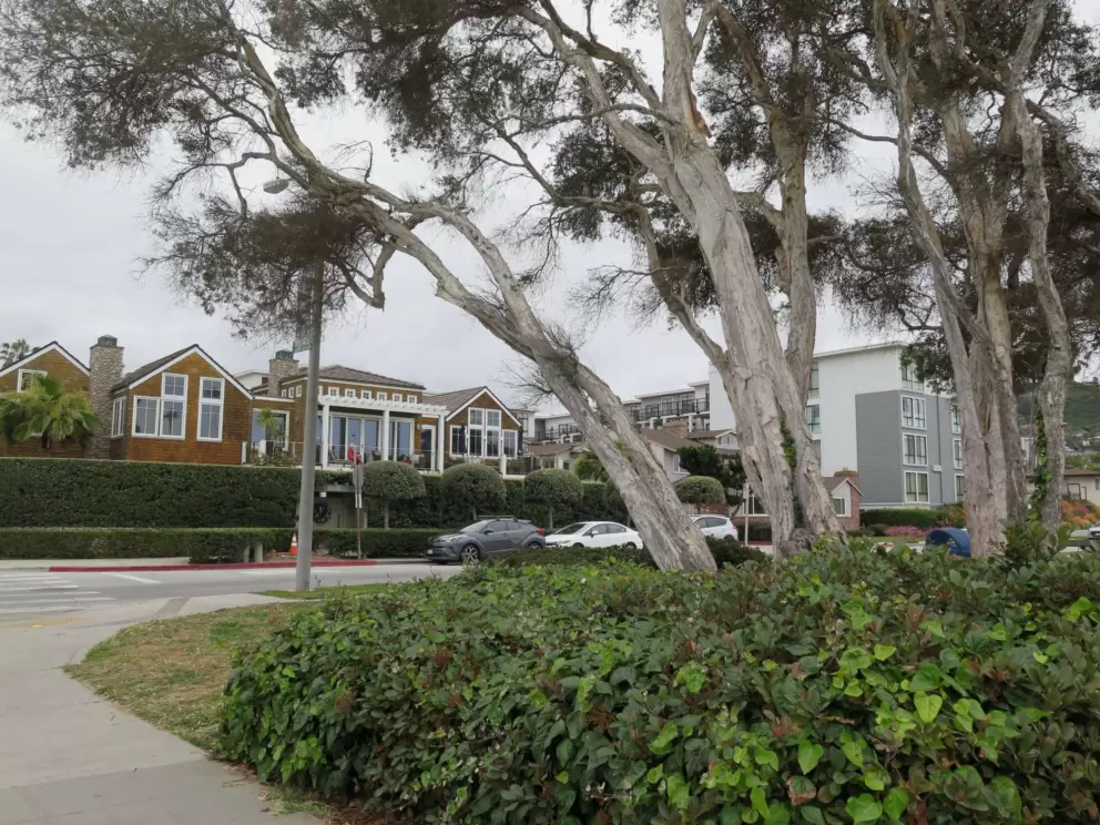 Houses by the park. 