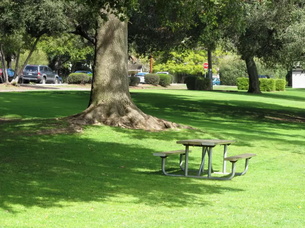 A nice place to relax.