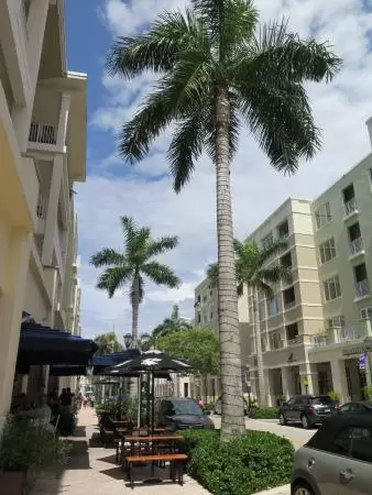 Town Center Drive on a July day. 