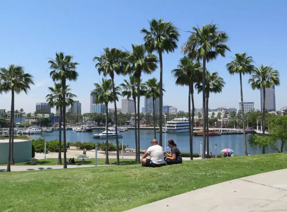 Views over the city and palms galore. 