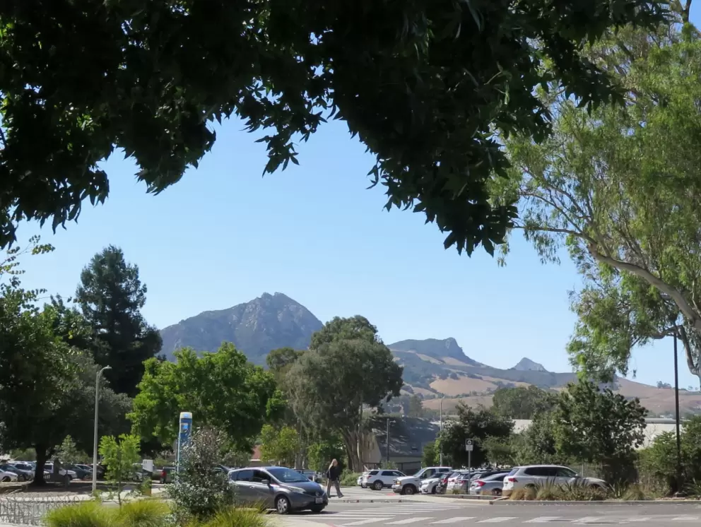 You can see a row of morros (volcanic mountains) from campus. 