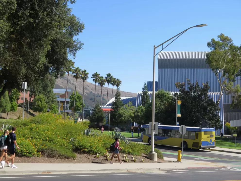 Walking on campus near the Performing Arts Center. 