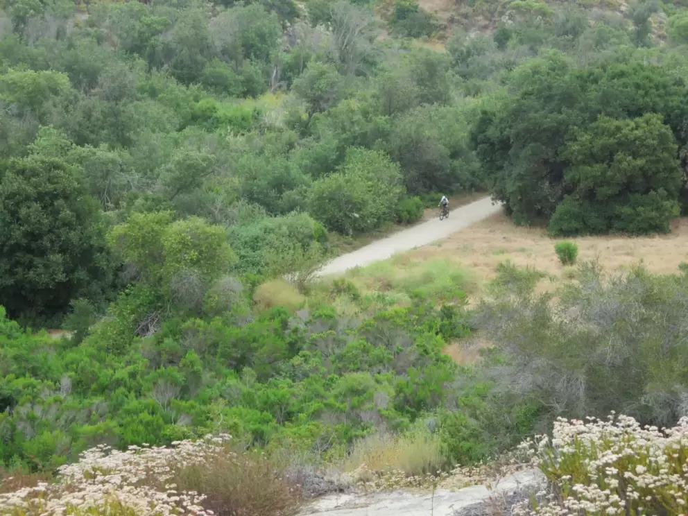 A bike rider on the path. 
