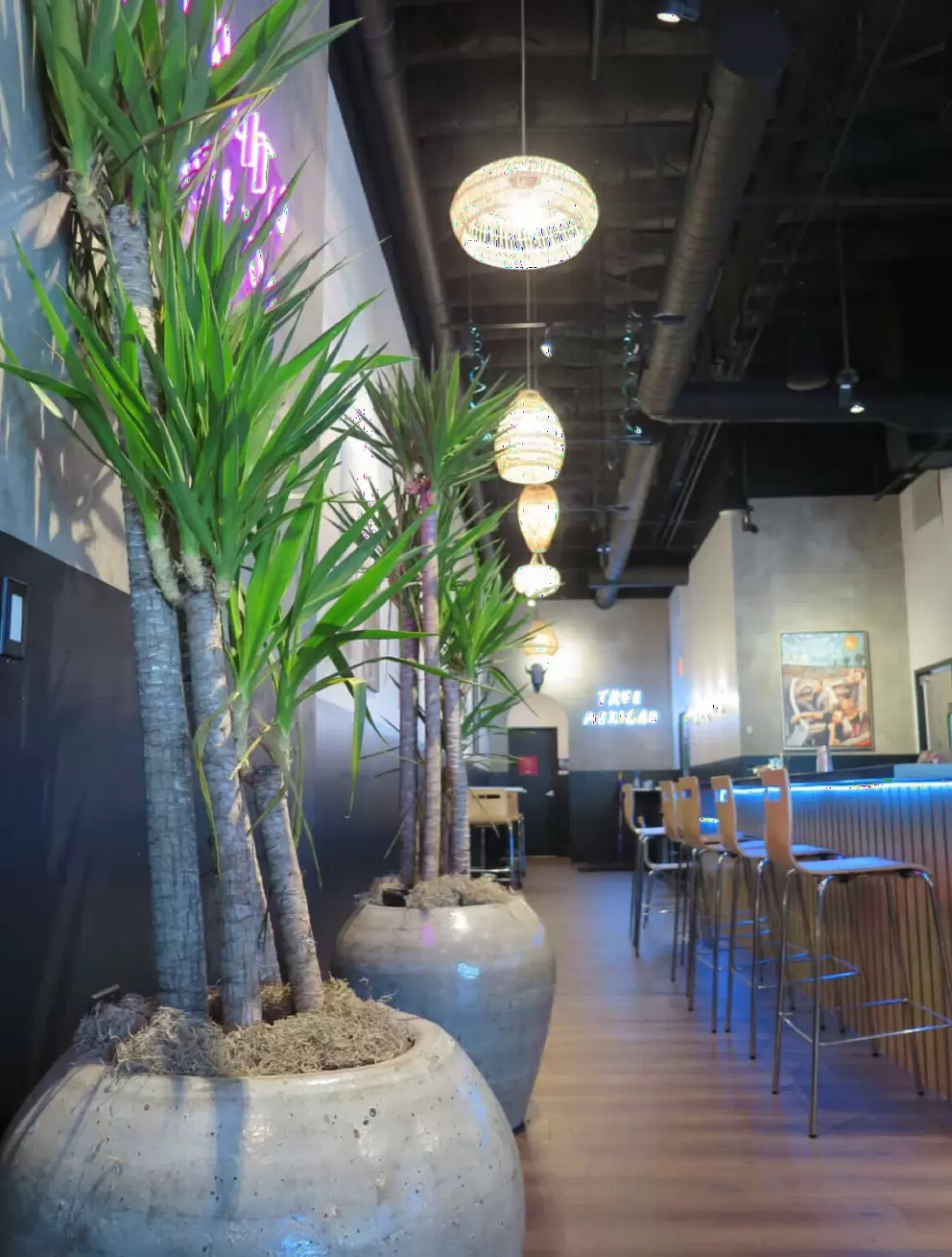Inside Lupe's Mexican Eatery, the decor is wonderful!