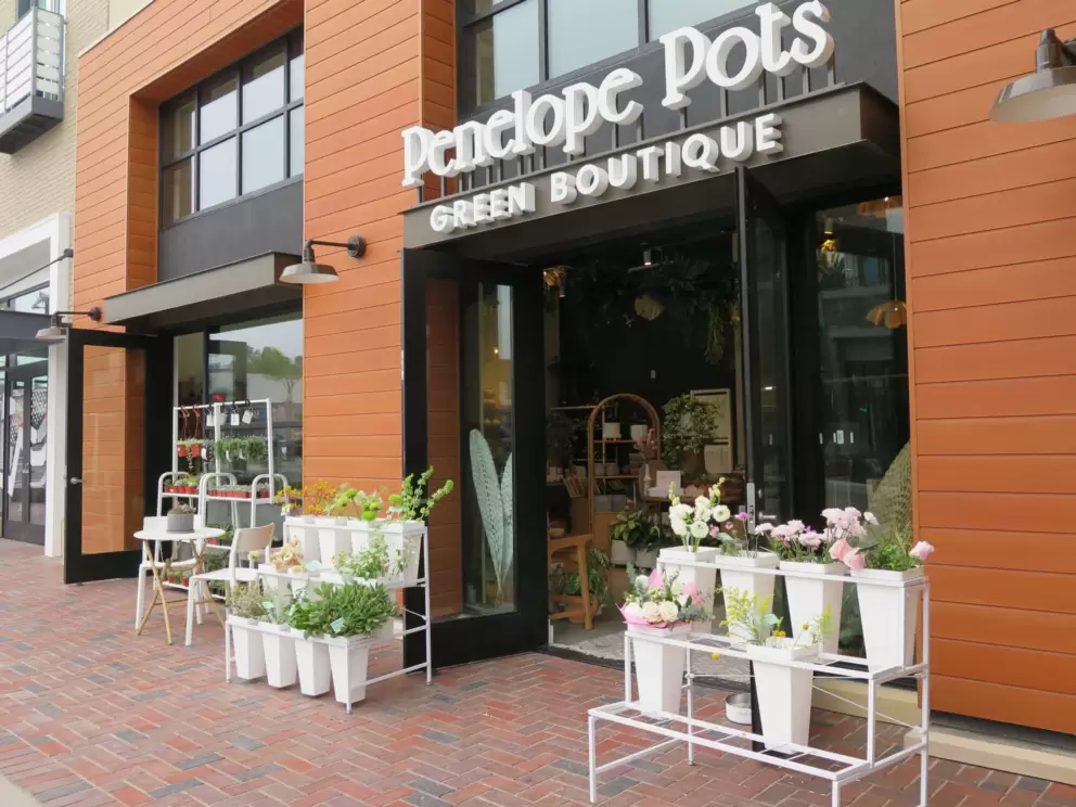 Penelope Pots Green Boutique. 