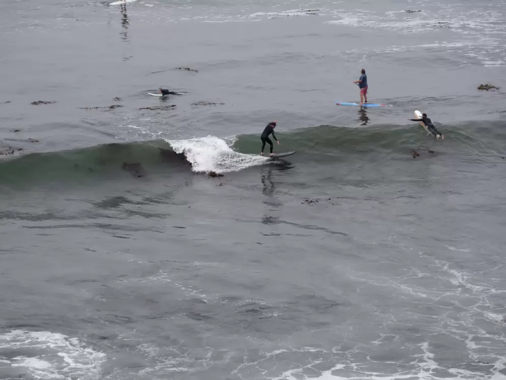 Surfers riding the waves. 