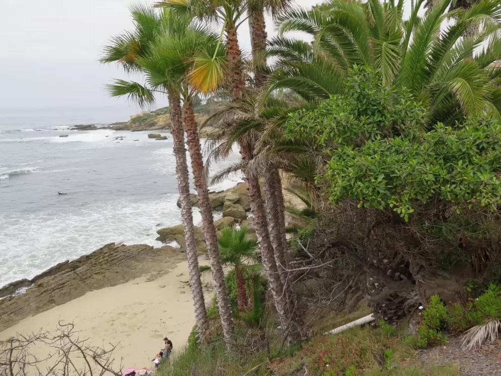 Looking down at the sand from Heisler Park. 