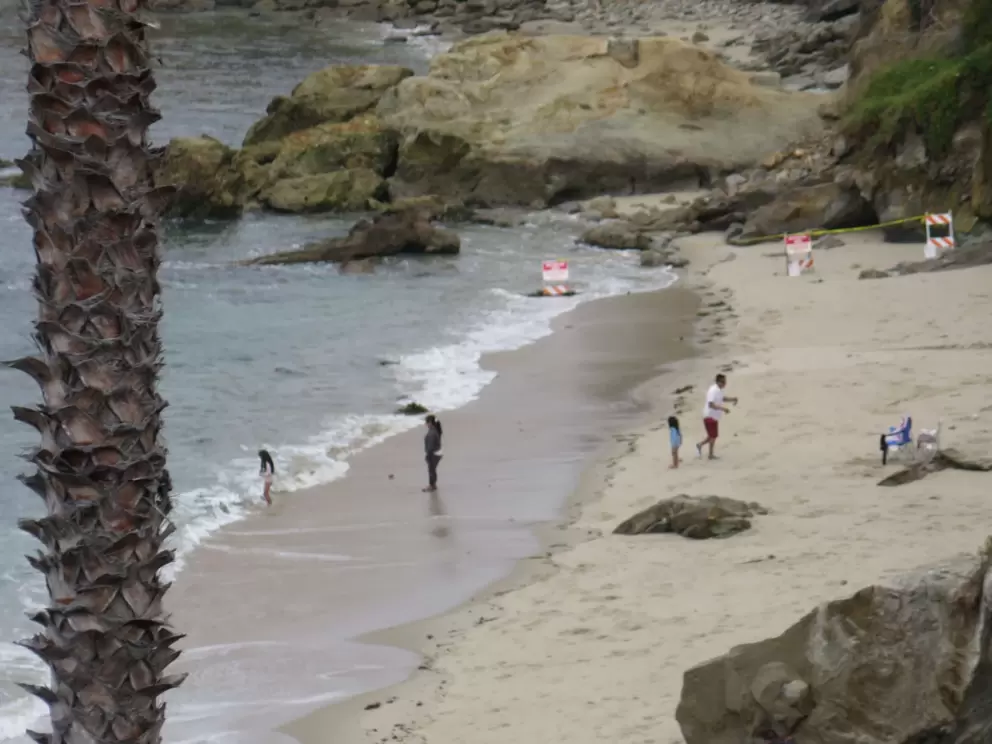 Families playing on the beach. 
