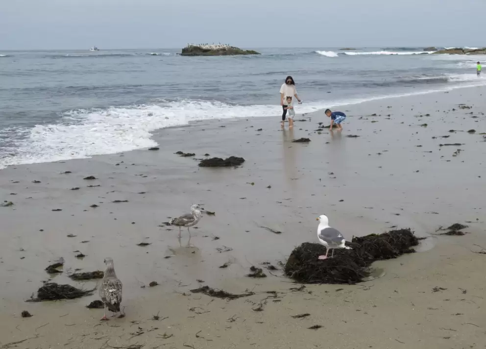 Playing at the shore, by the sea gulls. 