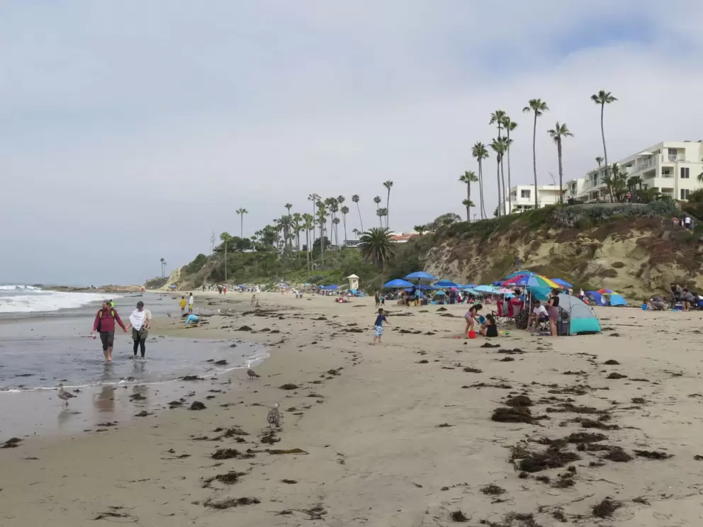 Busy July day at Main Beach. 