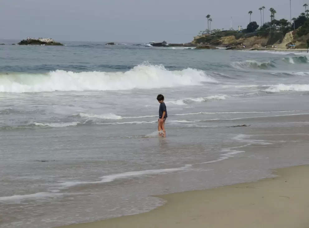 A boy playing by the shore. 