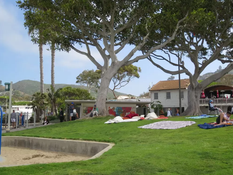 Sitting on the lawn by the playground. An idyllic spot. 