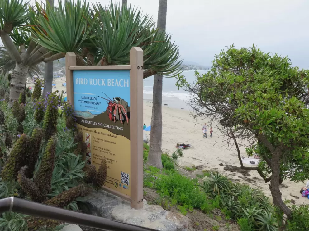 Bird Rock Beach sign. 