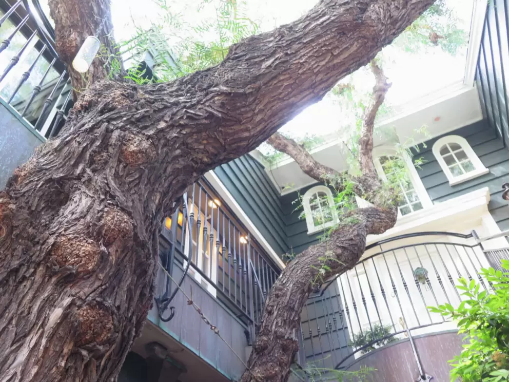 Arched windows and ironwork railing in Pepper Tree Lane. 
