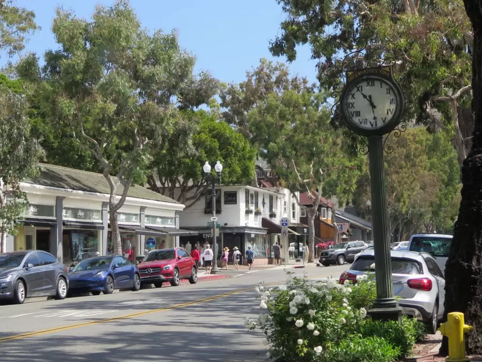 Clock and roses along the street, and so many lovely trees. 