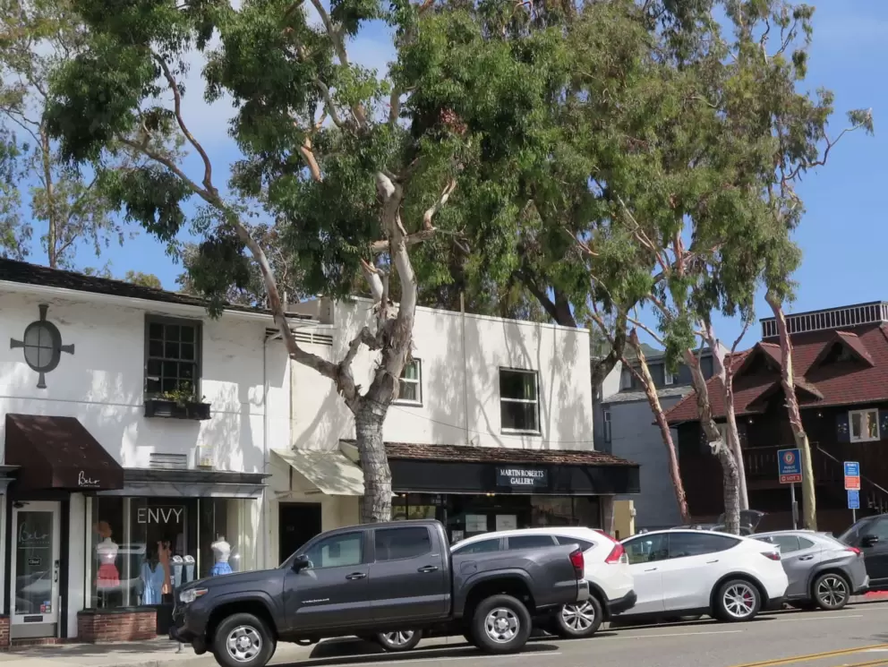 Lovely storefronts and eucalyptus trees on Forest Ave. 