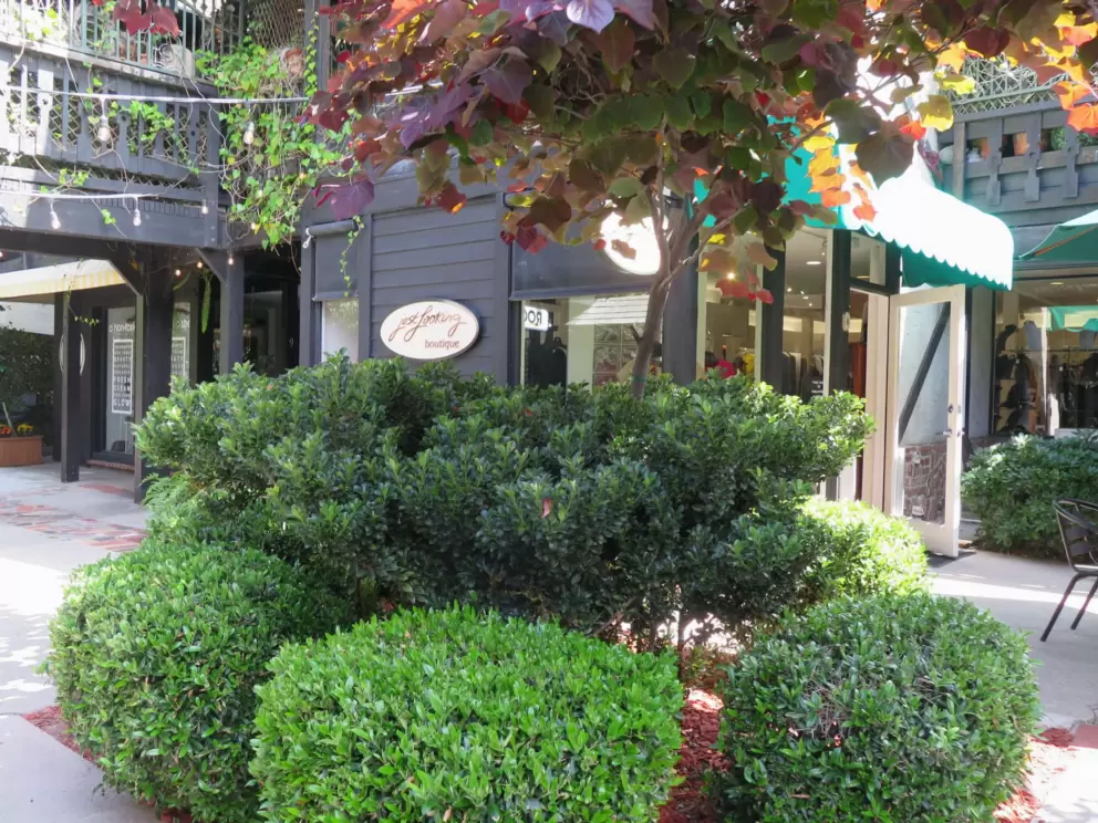The lovely square with German architecture on Forest Ave. 