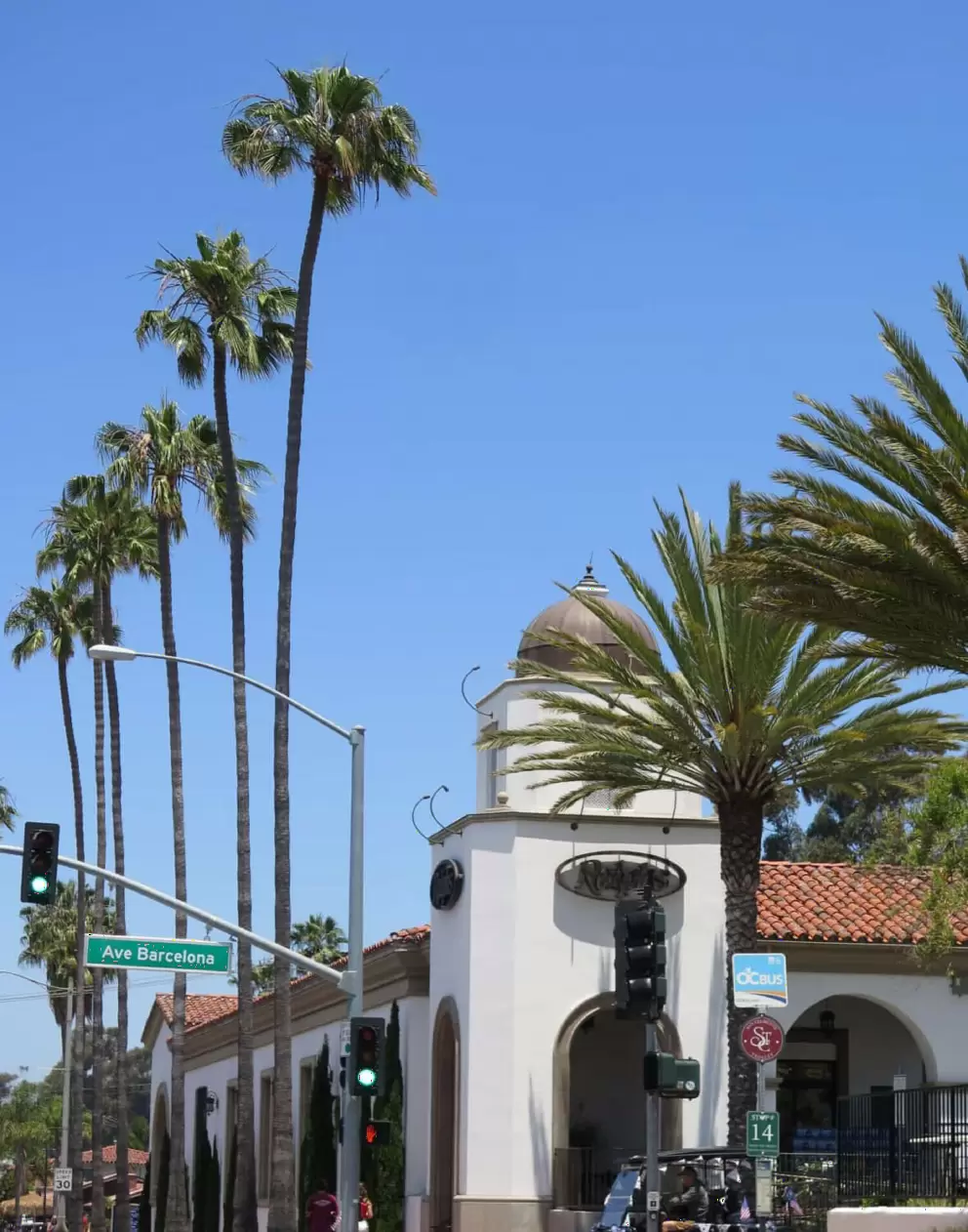 Ralph's tower and palm trees. 