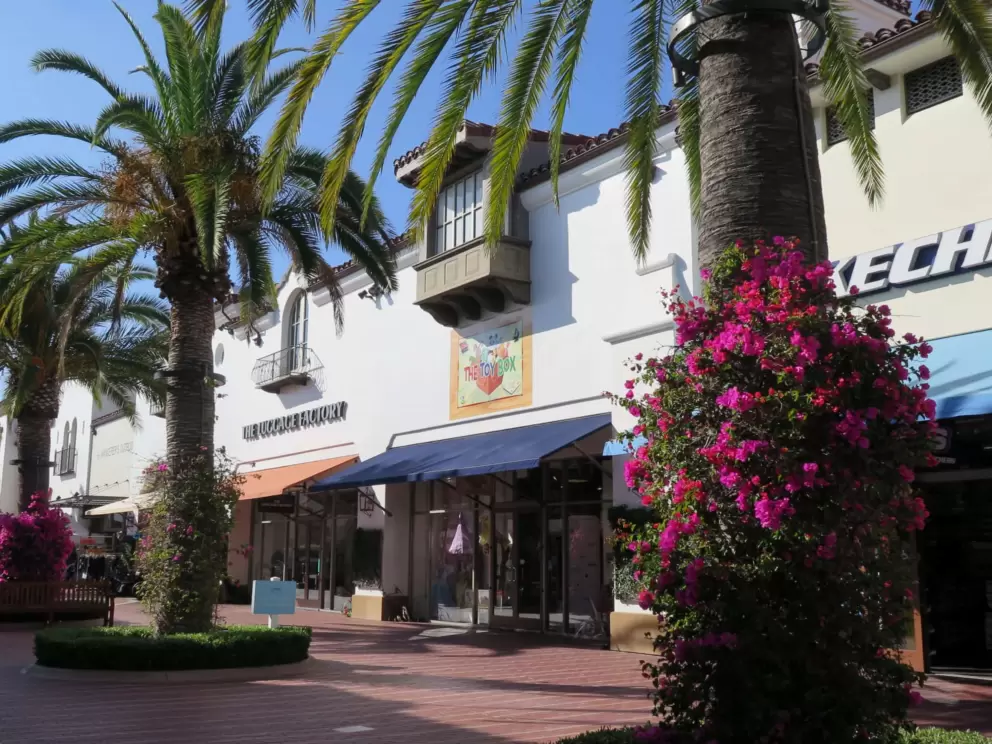 Canary palms and flowers outside The Toy Box. 