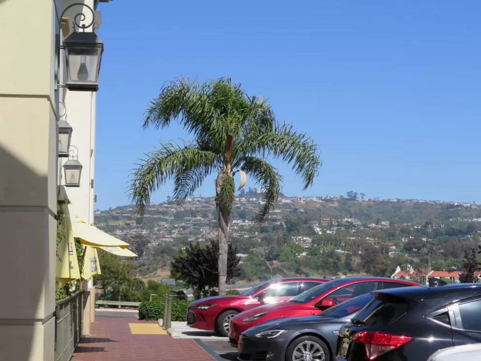 I like the views of the hills. 