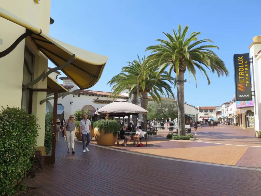 Canary palms and large potted plants make the area attractive. 