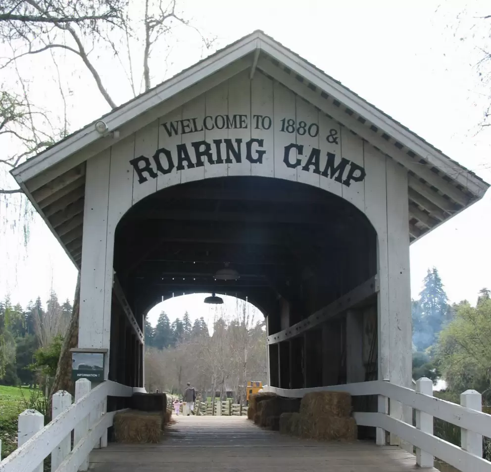 Roaring Camp Railroads, Felton