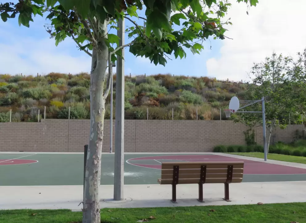 Basketball court. 