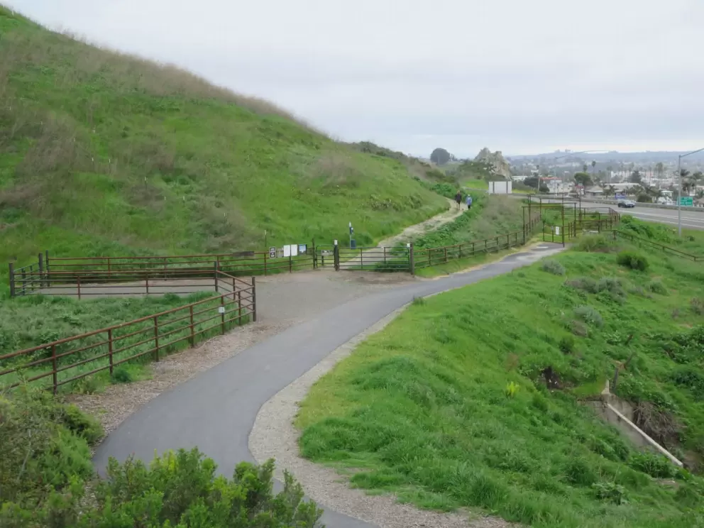 The beginning of the trail, where there is a cow gate. 