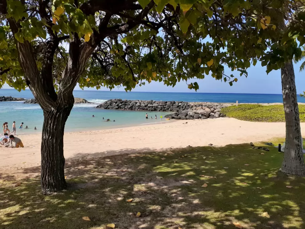 View of the lagoon from the fairy grass. 