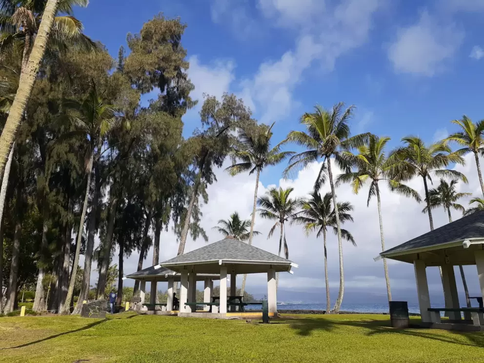 The picnic pavilions and tall coconut trees!