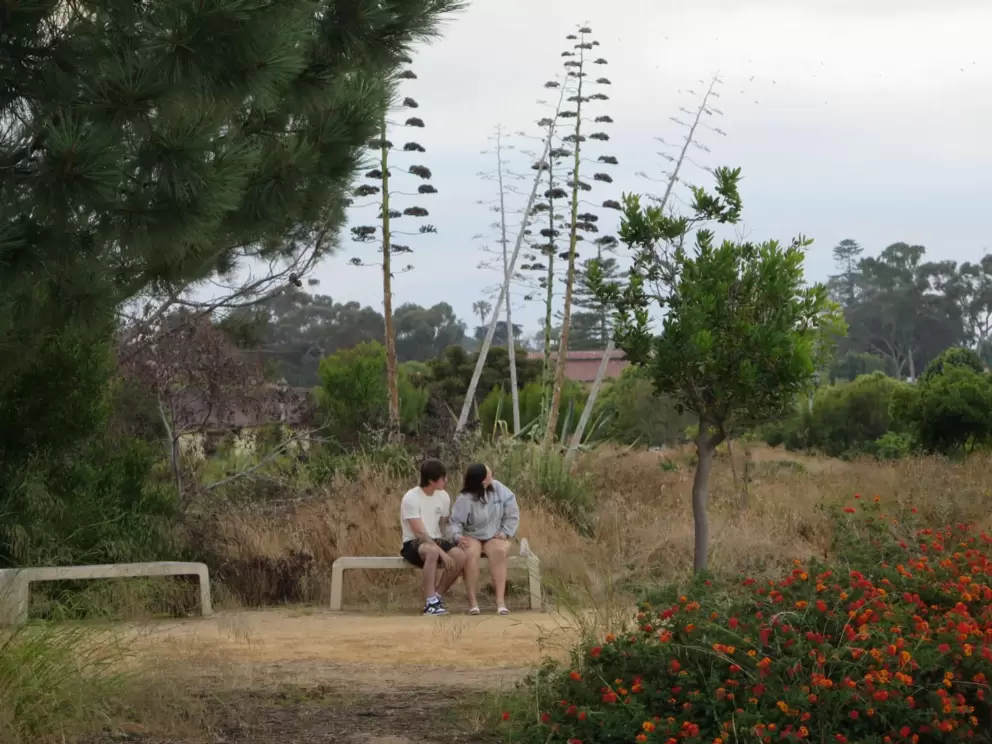 A couple watches a plane overhead. 