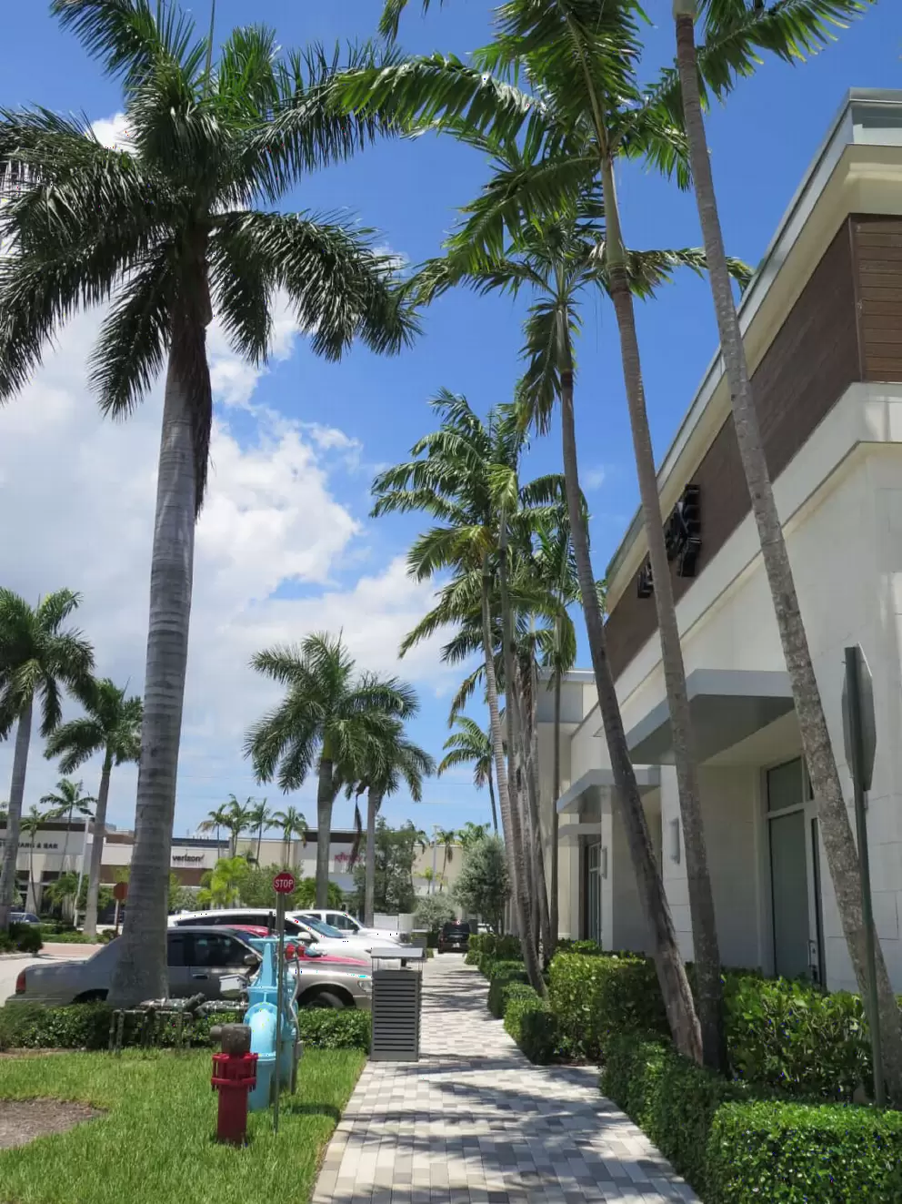 The architecture is a bit stark, but the palm trees add some interest. 