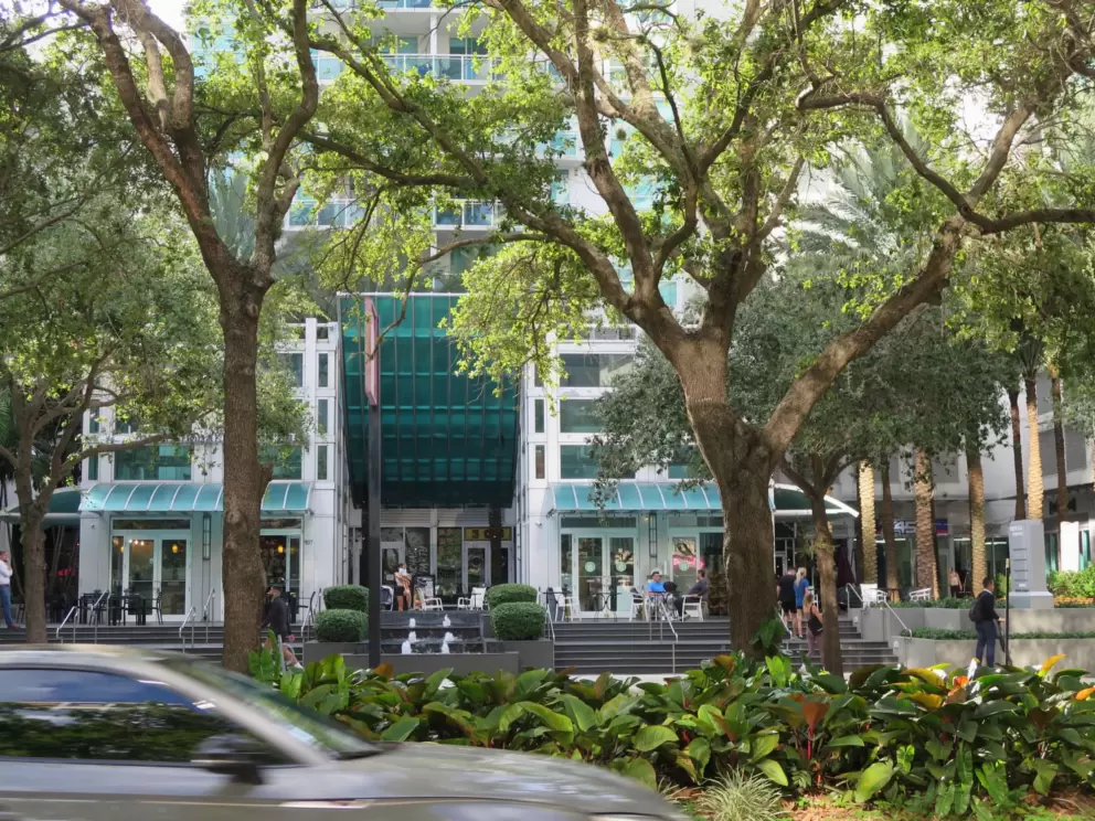 Trees line Brickell Ave near Pasion del Cielo Coffee, on the 900 Block. 