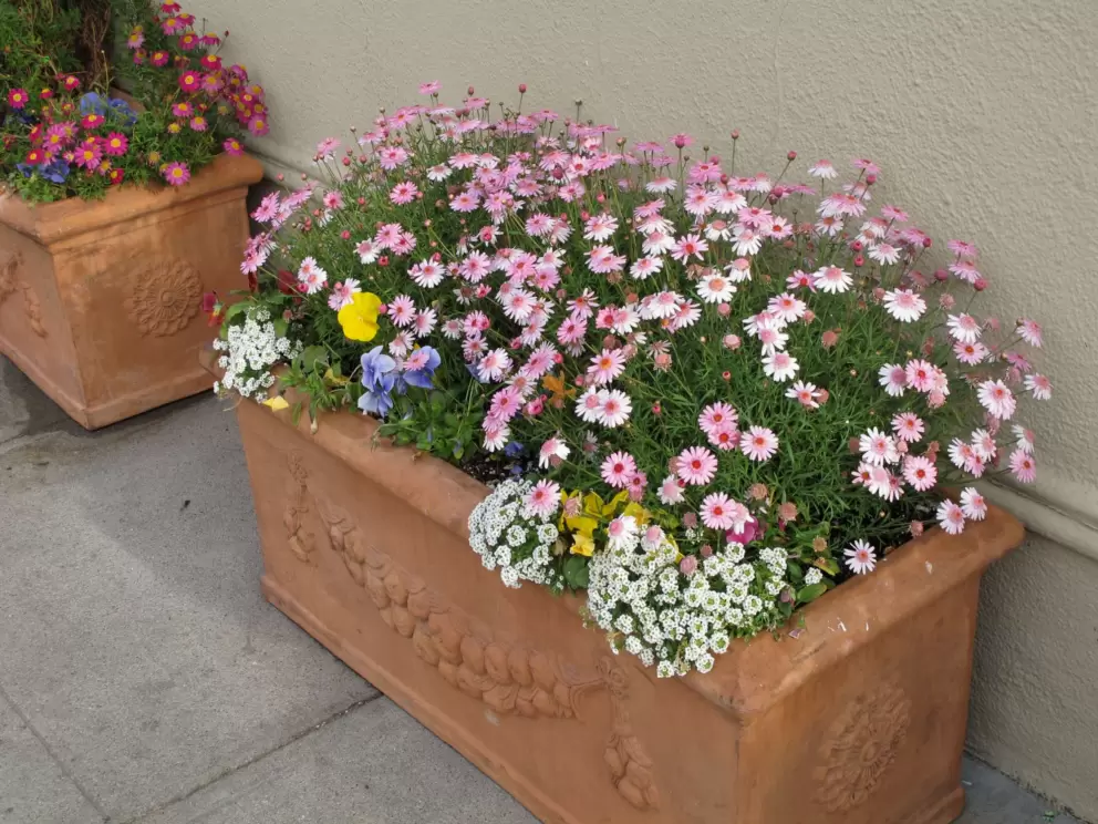 Flower box on Cannery Row.