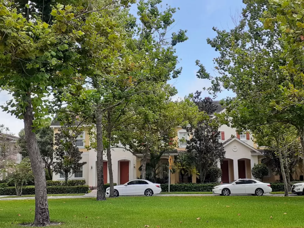 Sycamore trees and townhouses with colorful doors in Canterbury Place neighborhood. 
