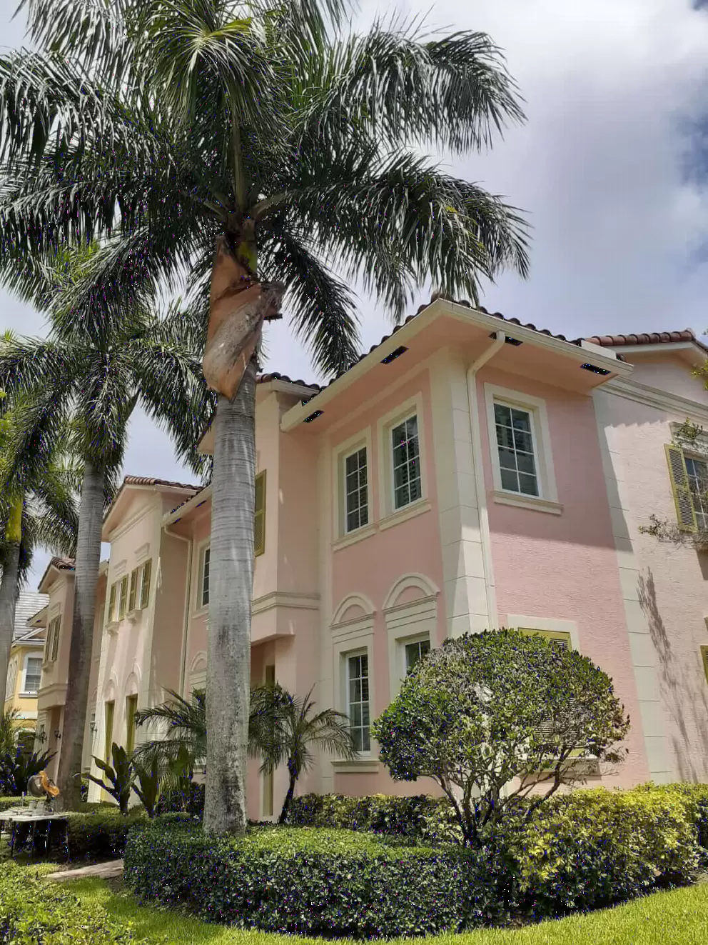 Pink house and royal palm tree at Canterbury Place neighborhood. 