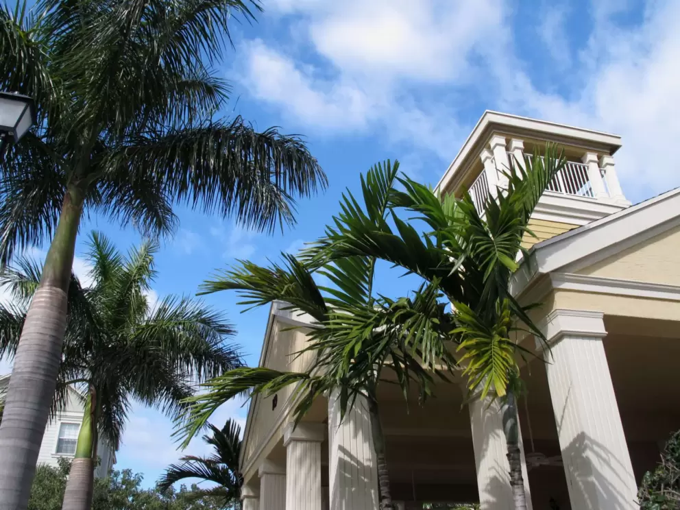 Palms and Caribbean tower at Sea Plum Town Center, in the Botanica neighborhood. 