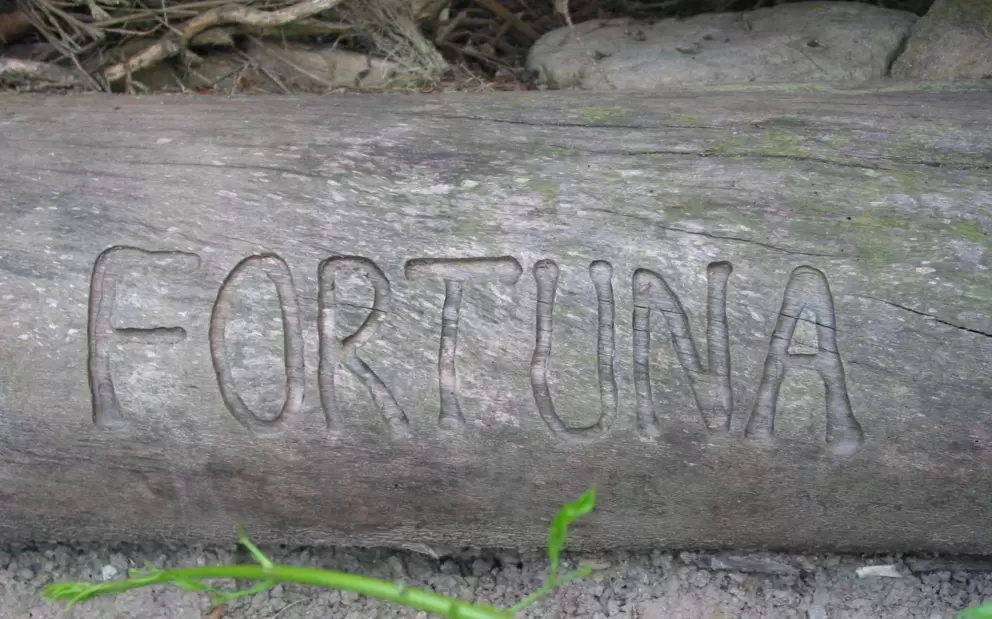 Find this log!