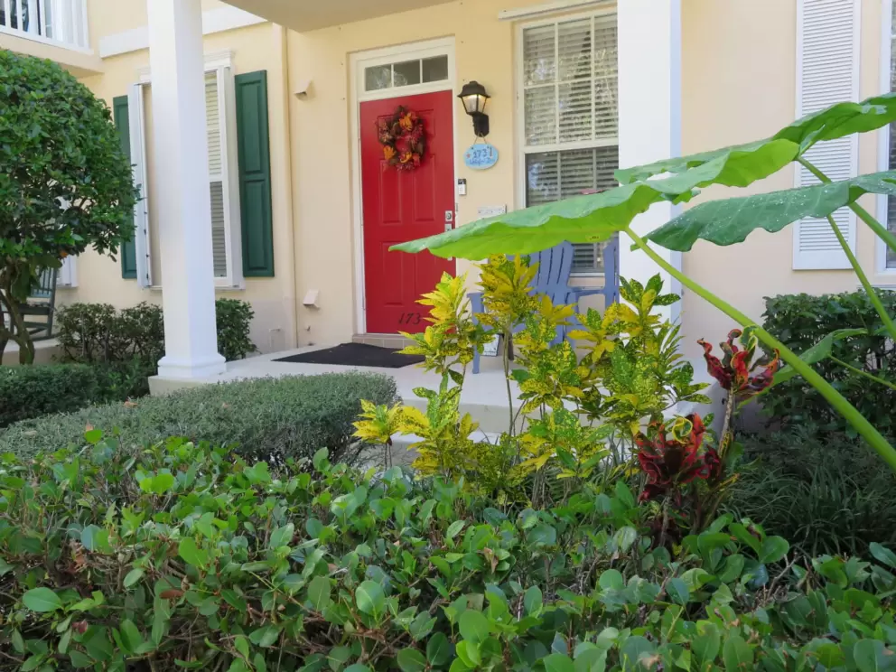 Townhouse with red door and tropical plants with huge leaves, in the Cambridge neighborhood. 