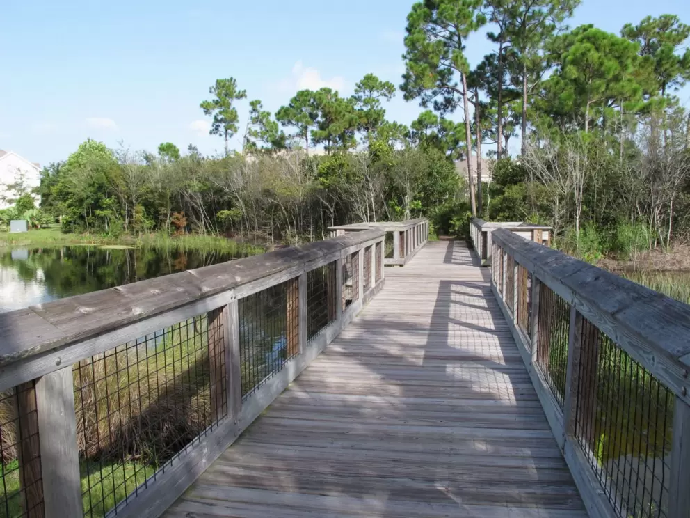 Wooden boardwalk at the wetland area in Botanica neighborhood. 
