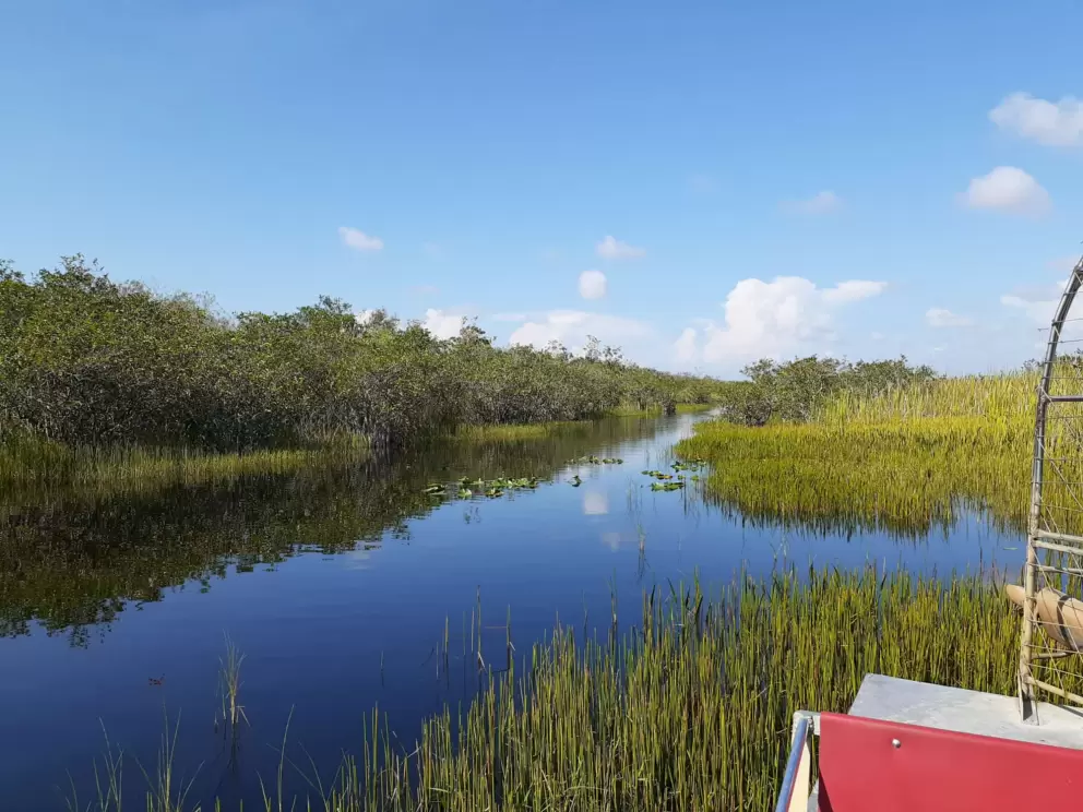 Airboat and canals you ride through. 